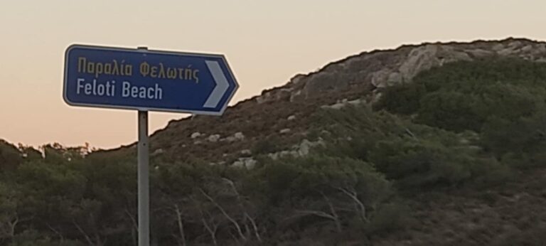feloti