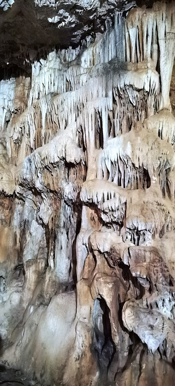 306475090 5775580342473569 243903084165995543 n