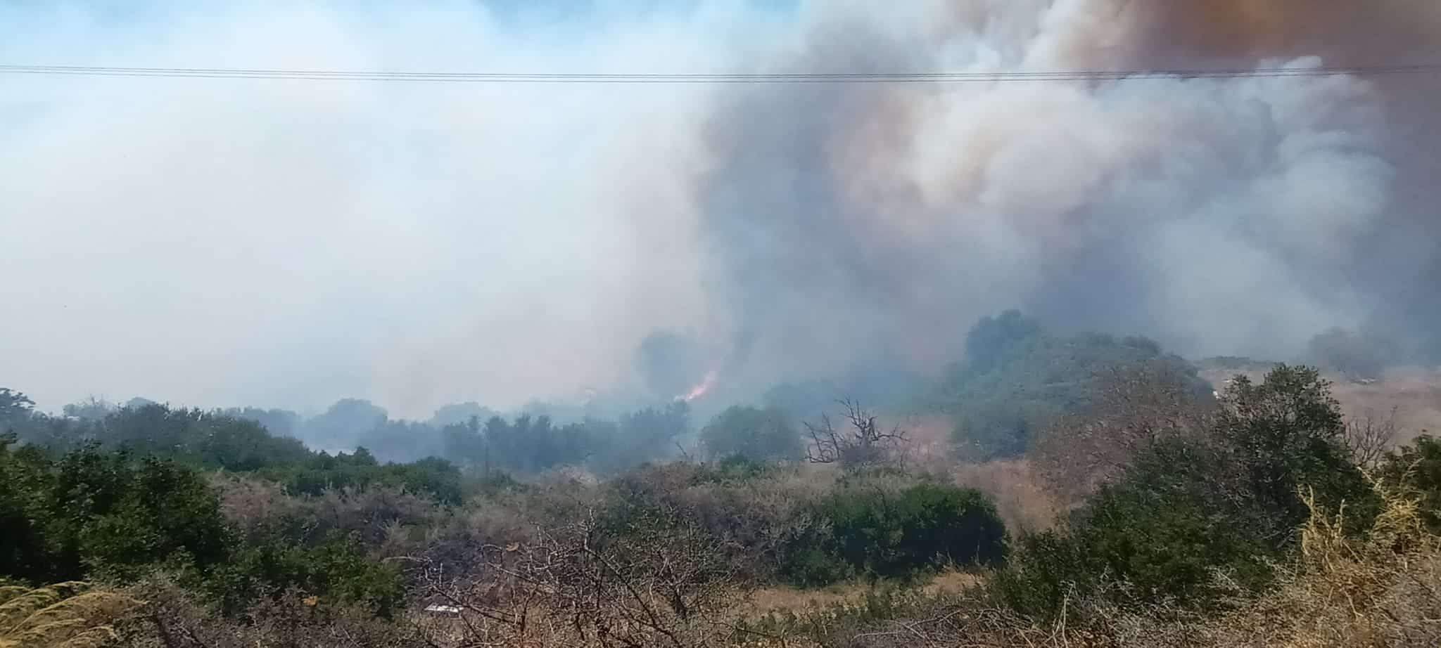 fotia agia pelagia11