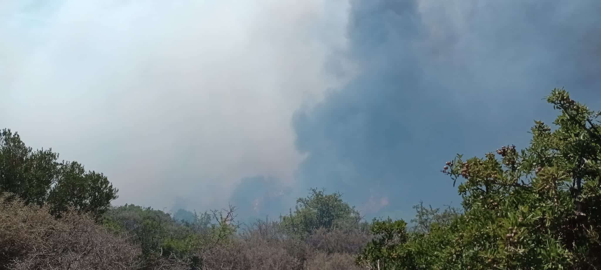 fotia agia pelagia13