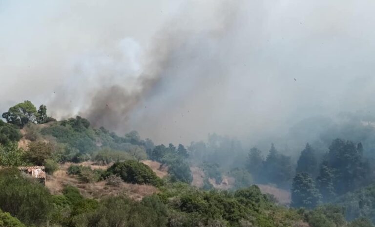 Ανεξέλγκτη η φωτιά, μπλακ άουτ στην Αγία Πελαγία!