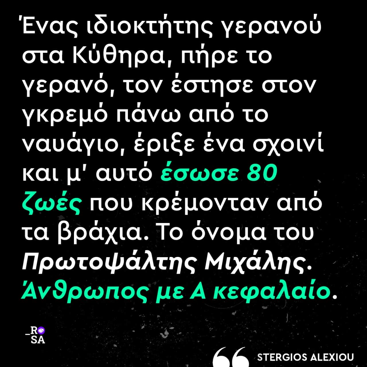 310994297 3346899495630627 4155407150172071296 n