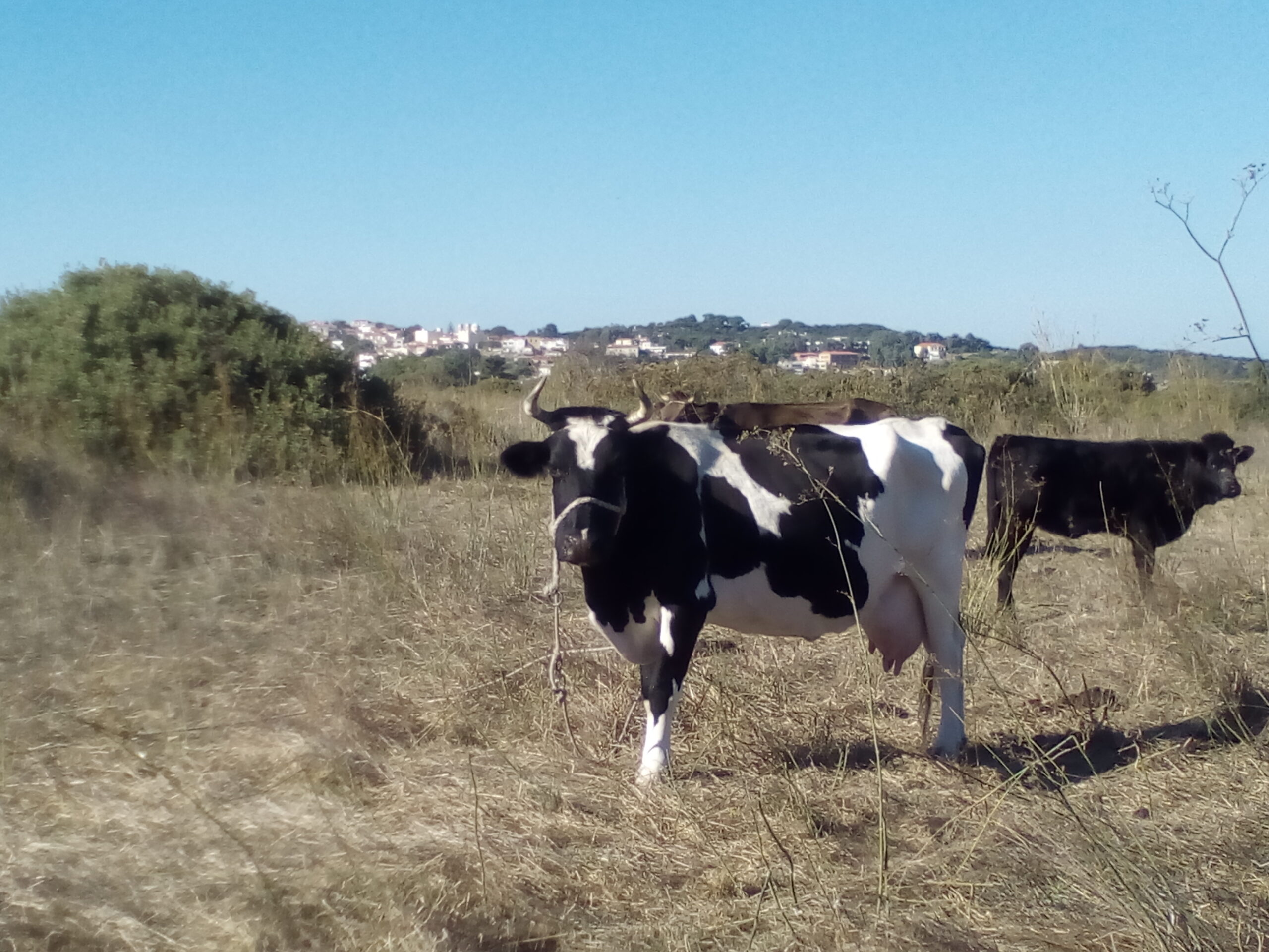 IMG 20221030 144948 scaled