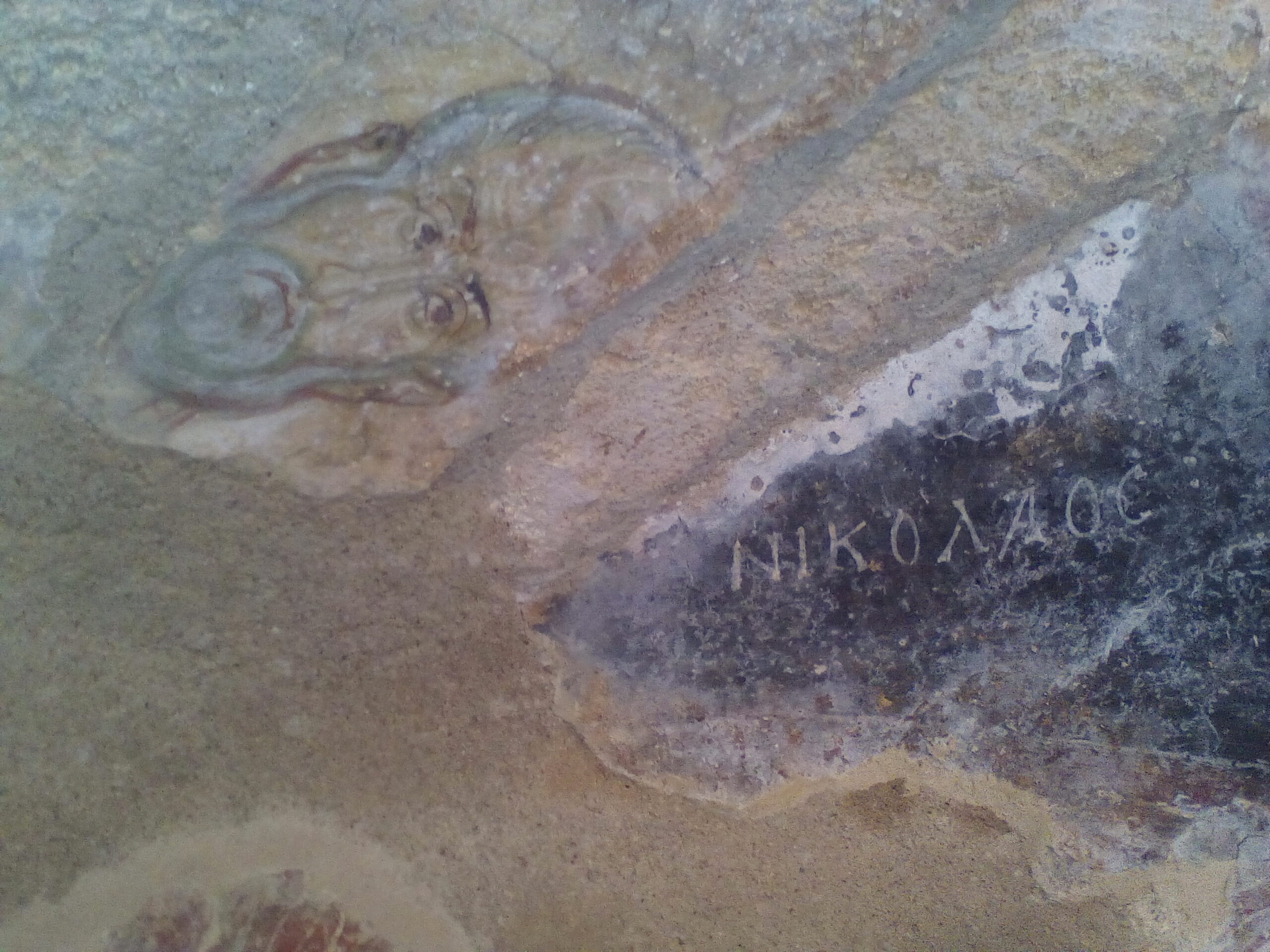 IMG 20221030 145926 scaled