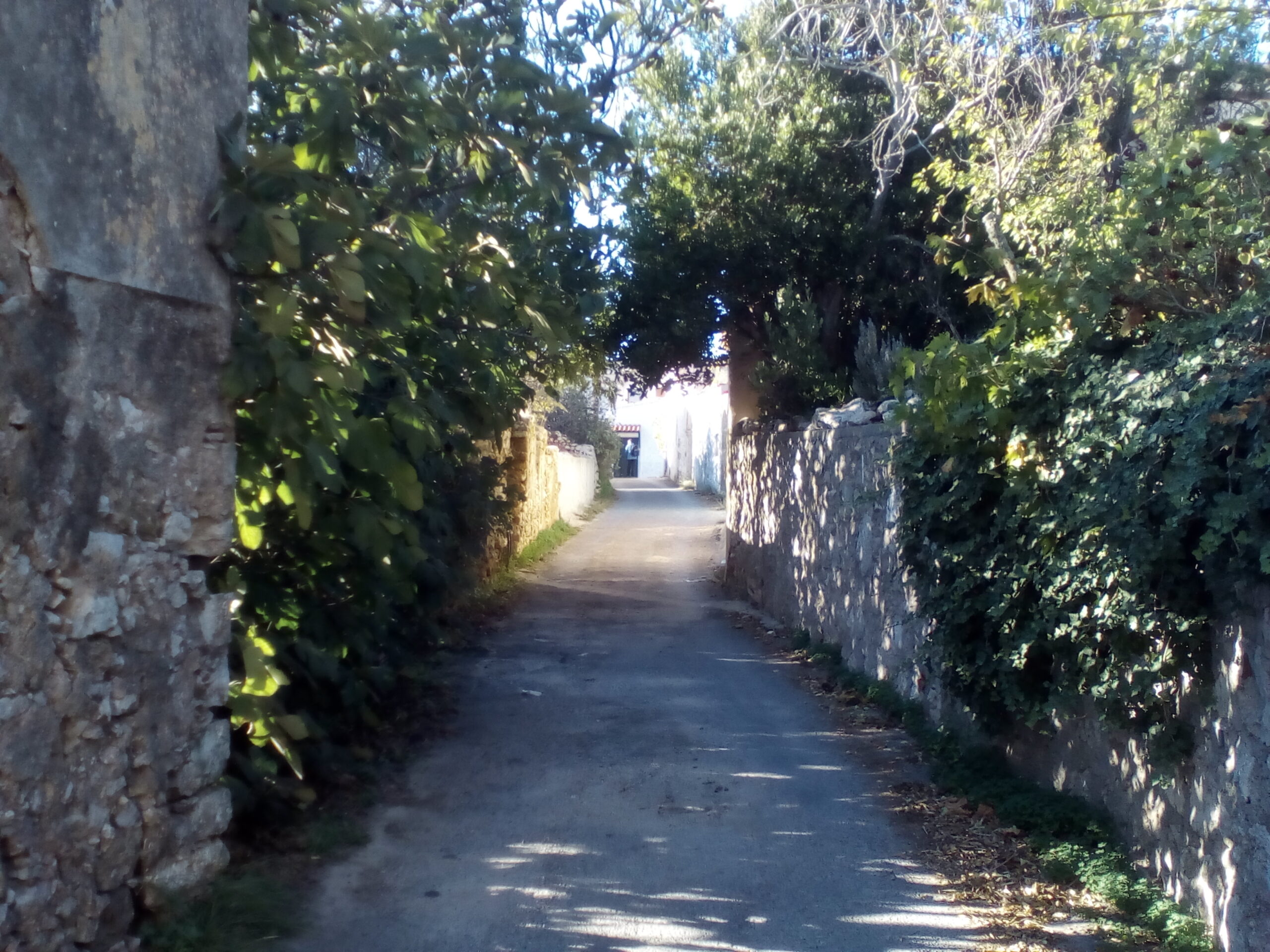 IMG 20221030 154855 scaled