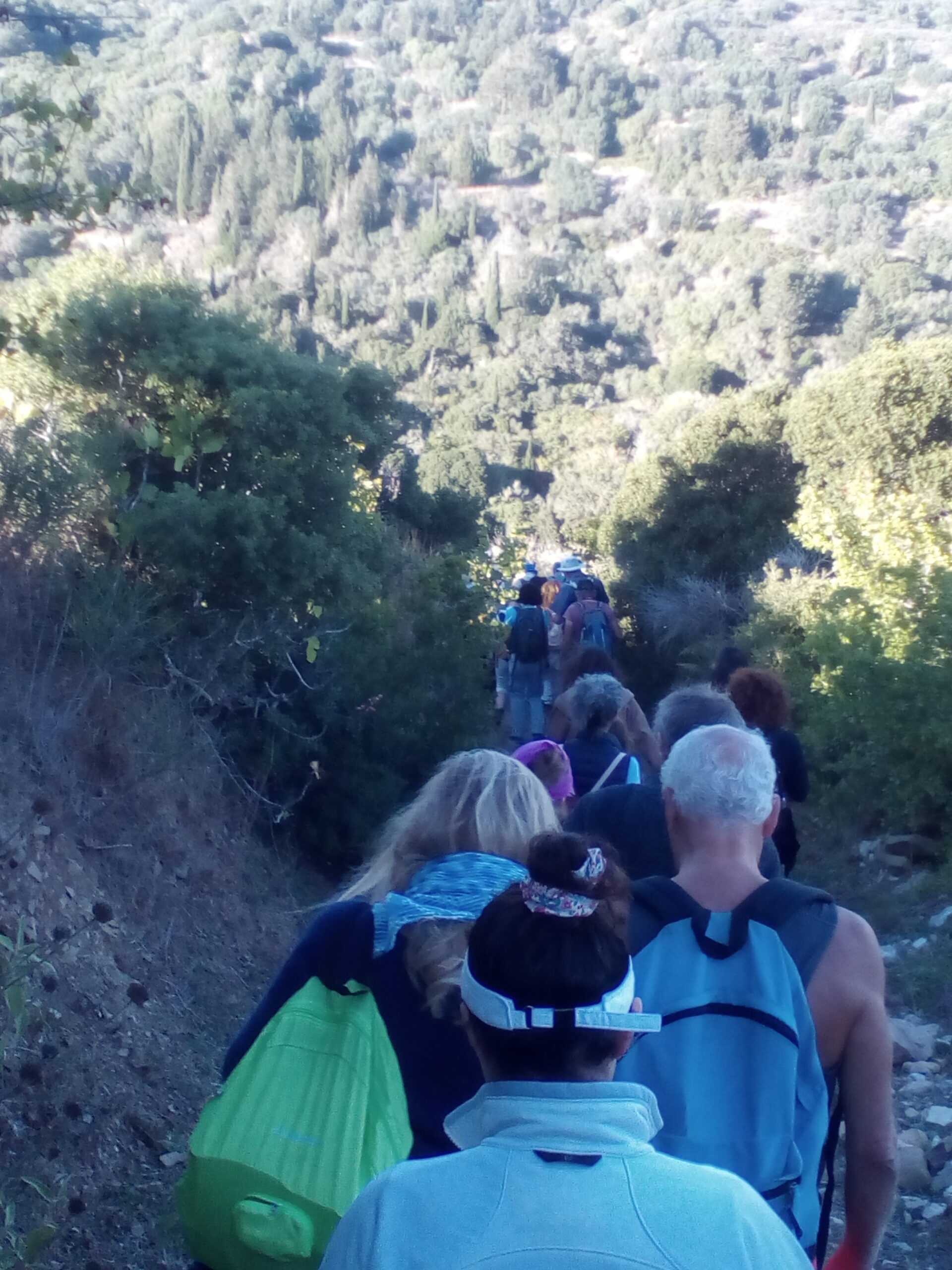 IMG 20221030 155835 scaled