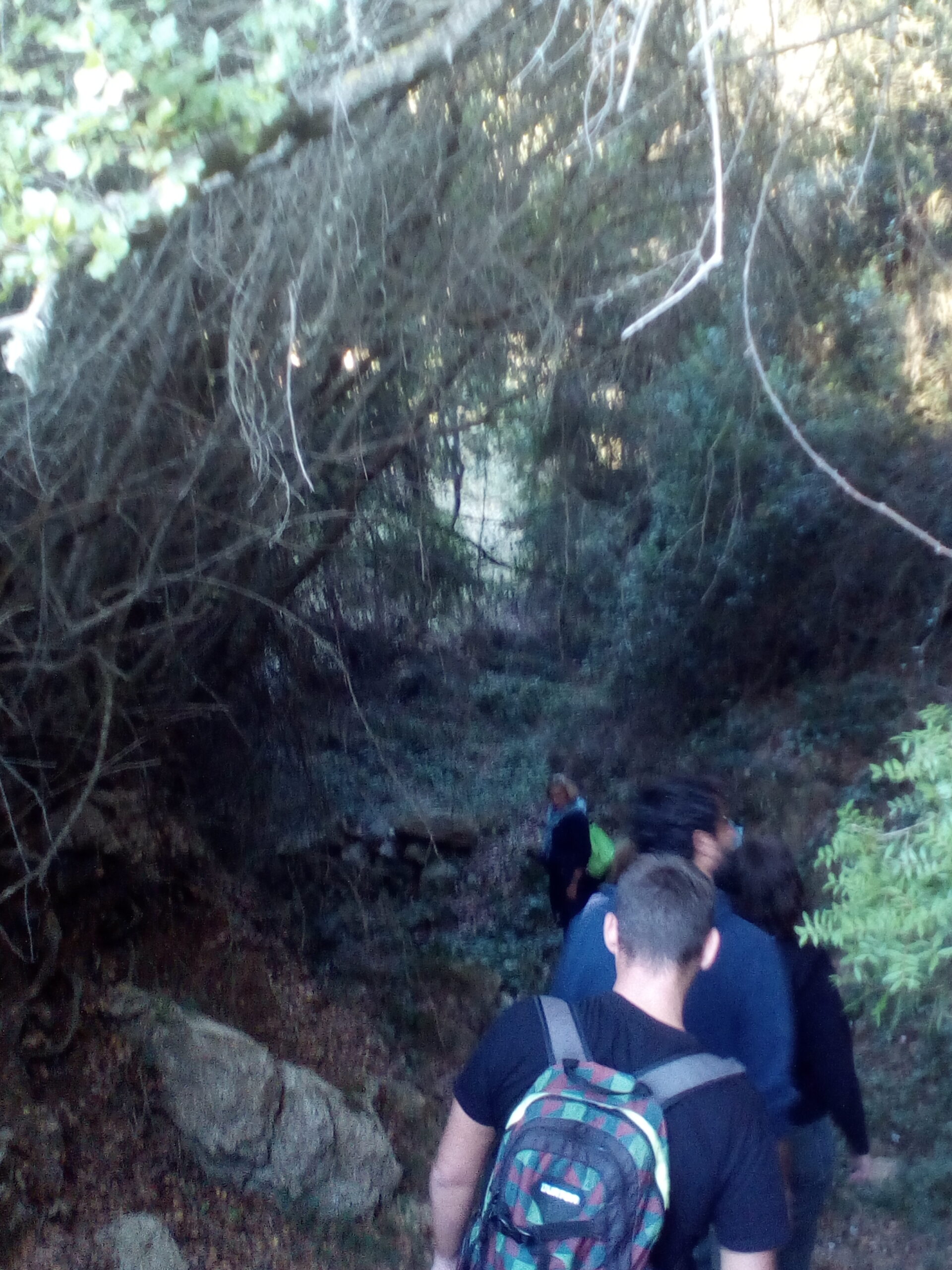 IMG 20221030 161151 scaled