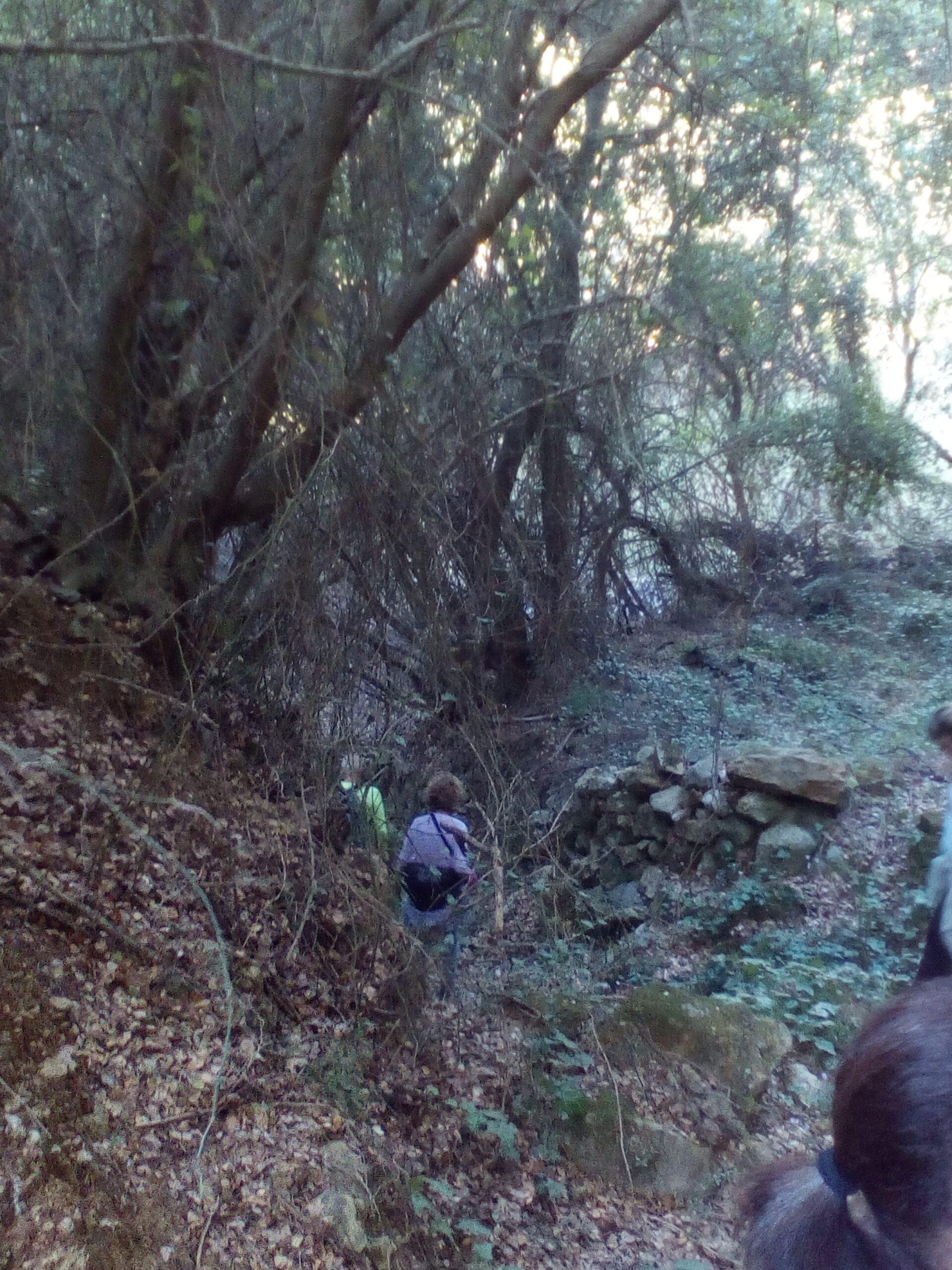 IMG 20221030 161212 scaled