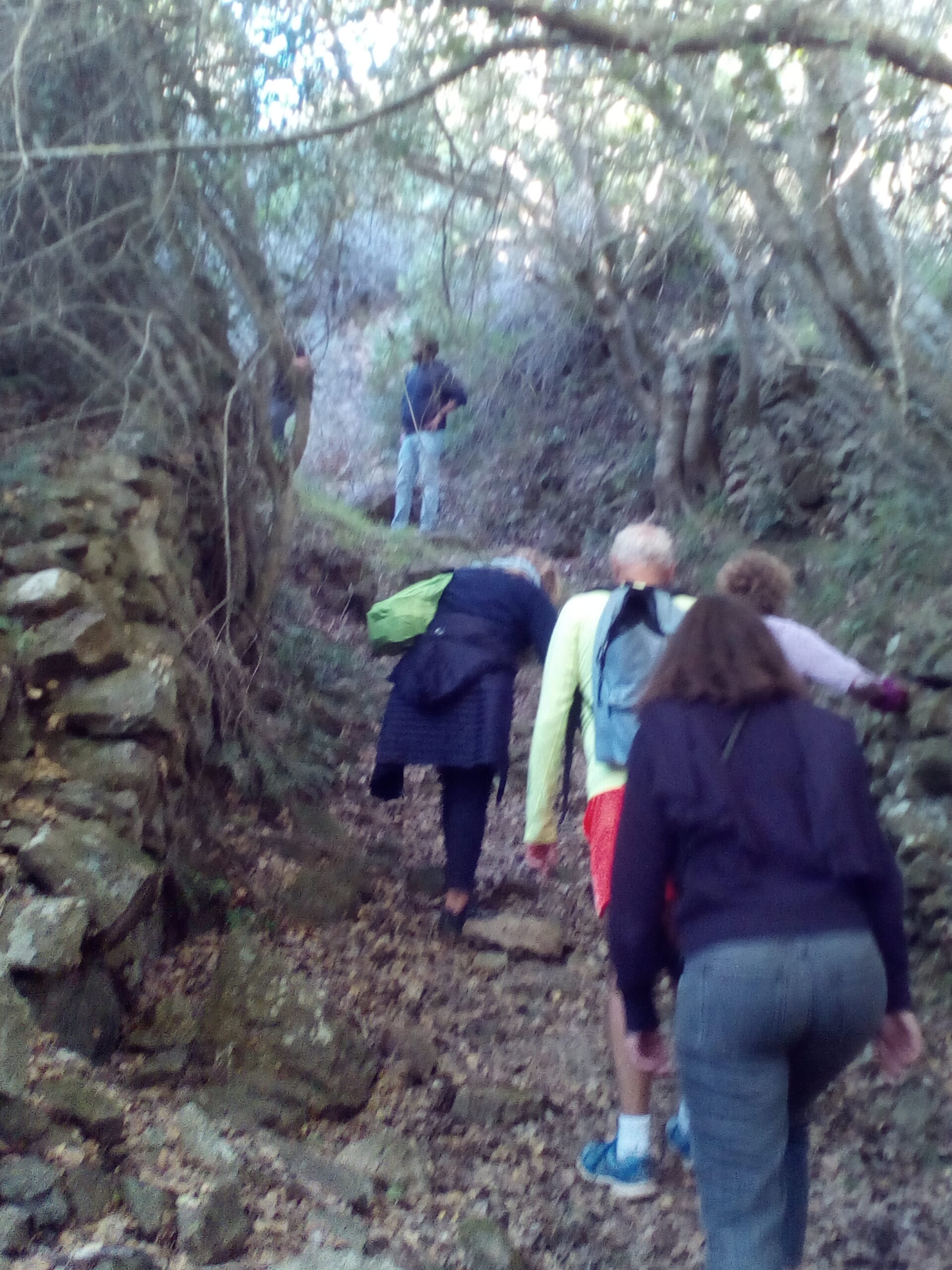 IMG 20221030 161808 scaled