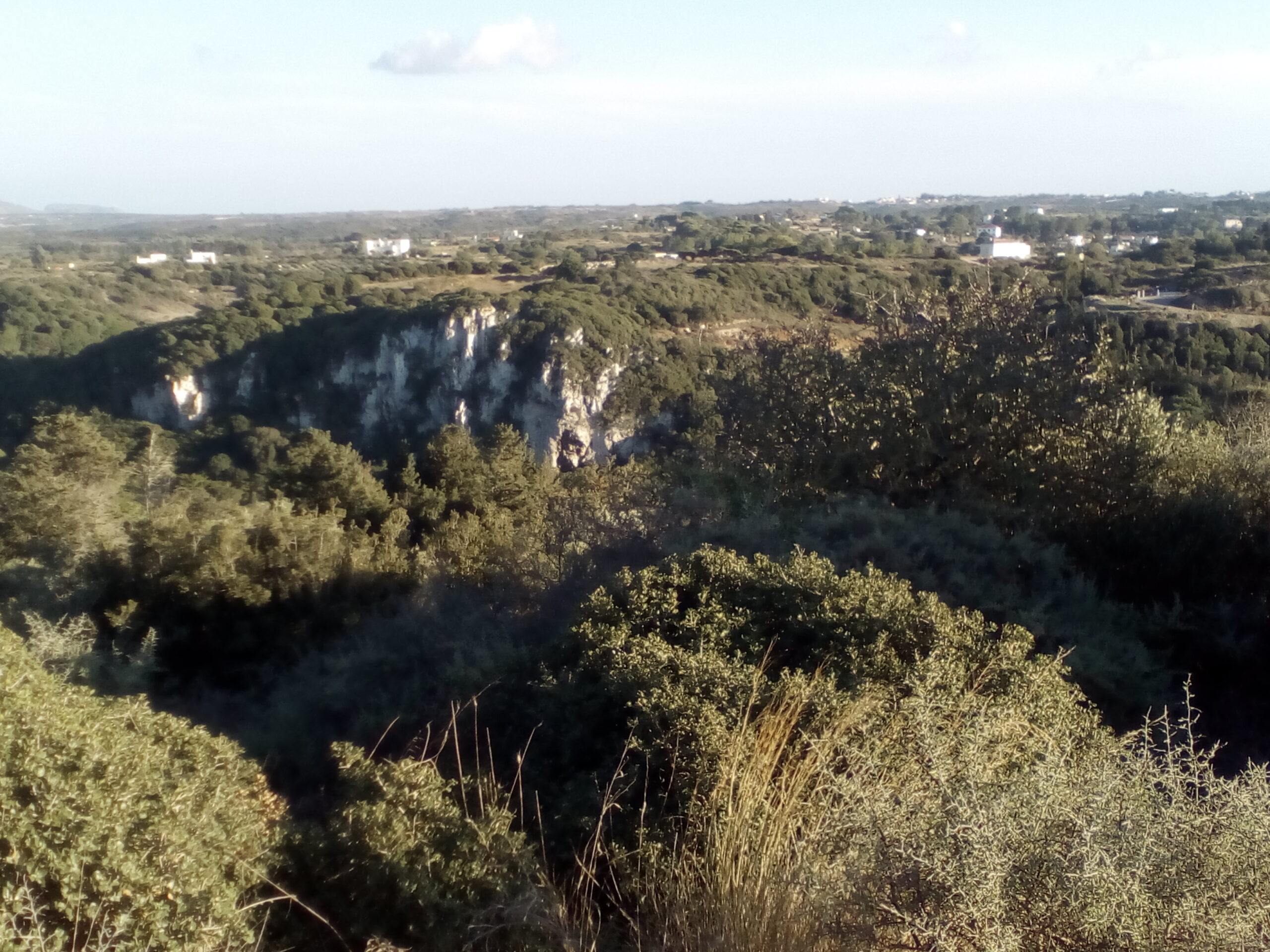 IMG 20221030 162636 1 scaled