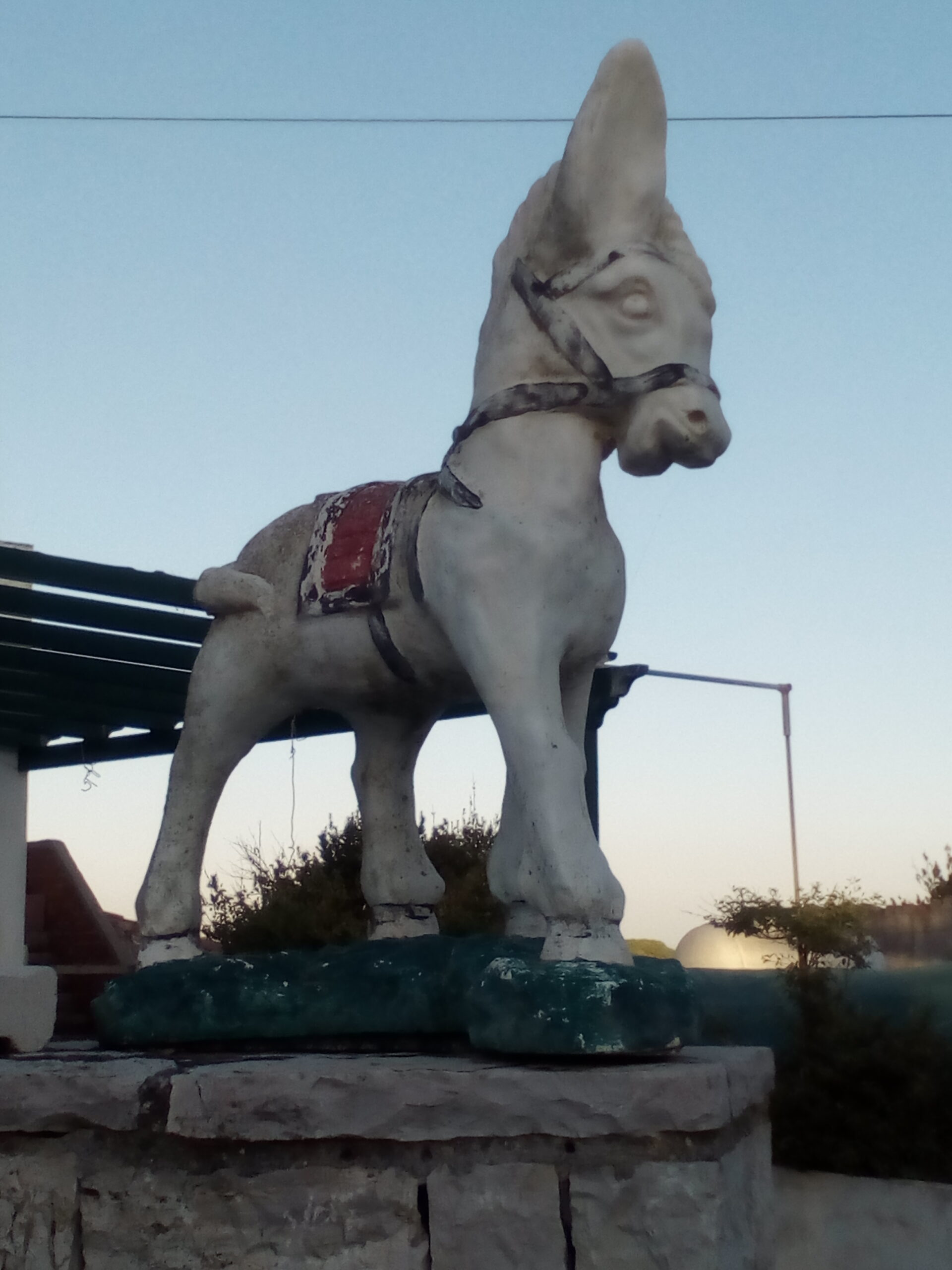 IMG 20221030 170009 scaled