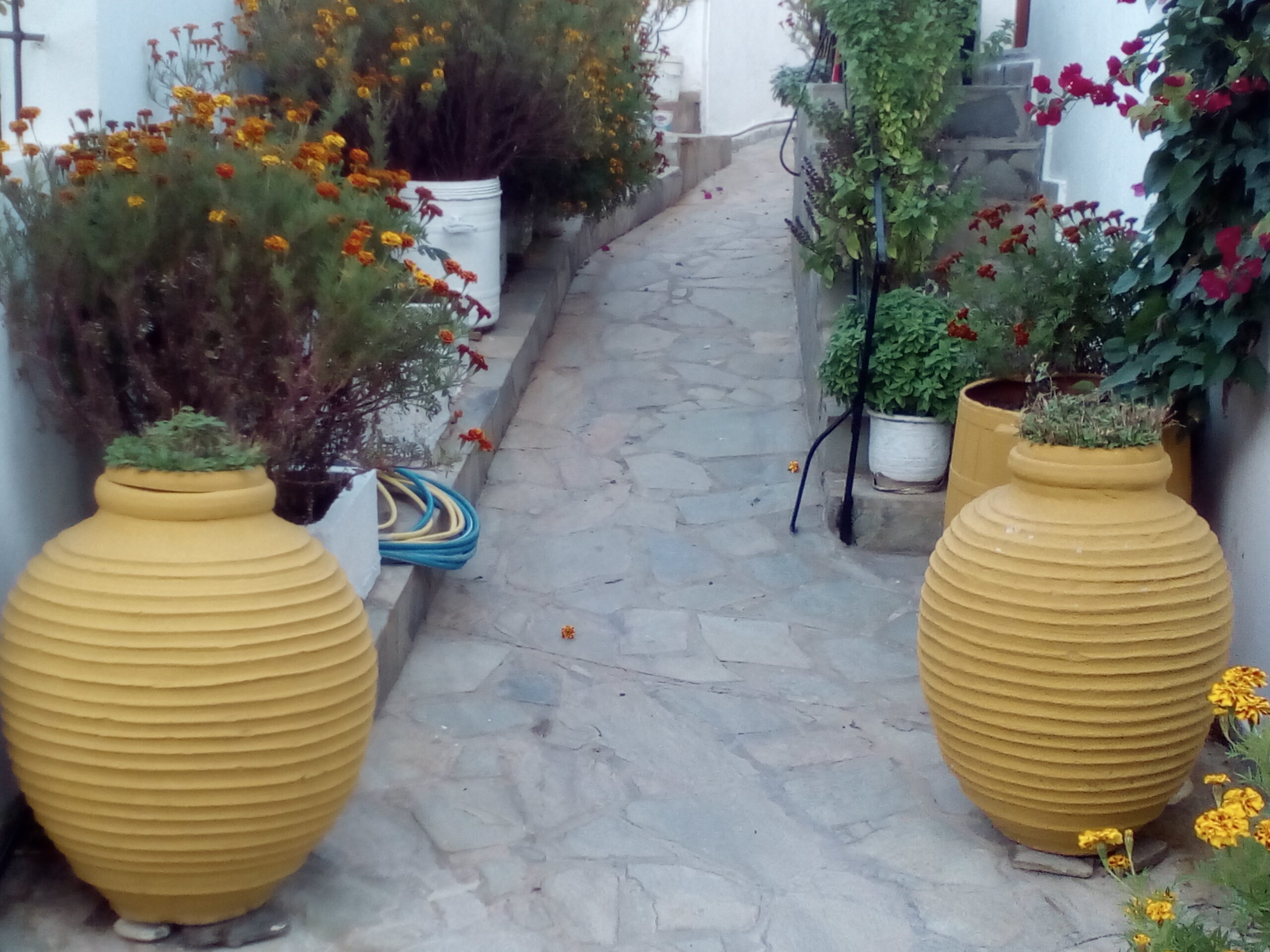 IMG 20221030 170621 scaled