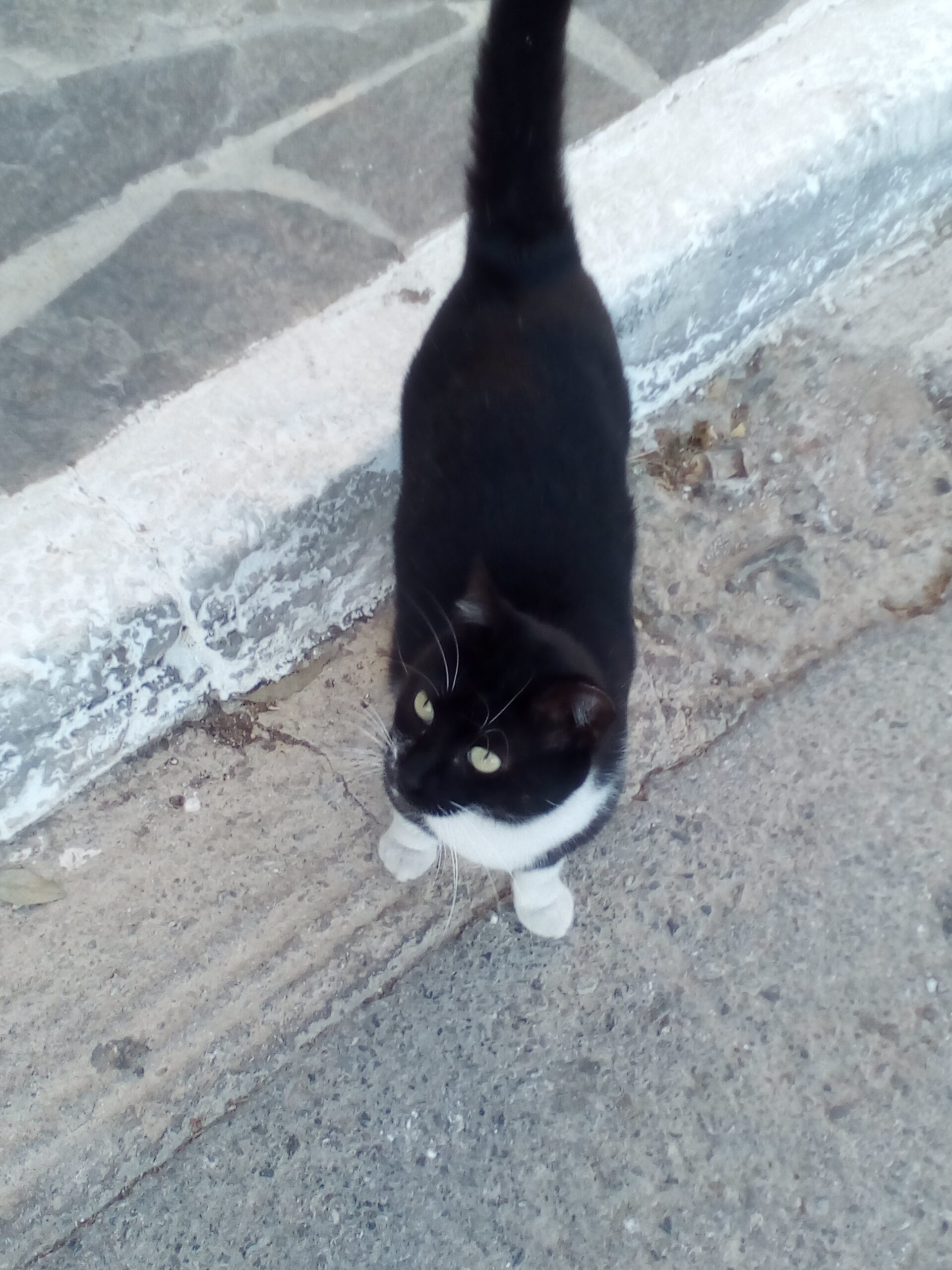 IMG 20221030 170731 scaled