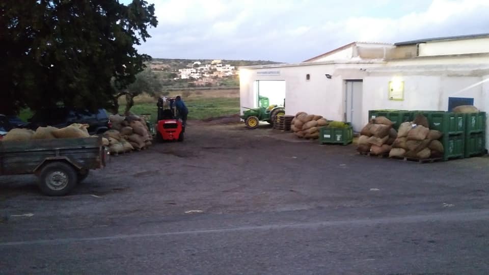 agrotikos-synetairismos-livadiou