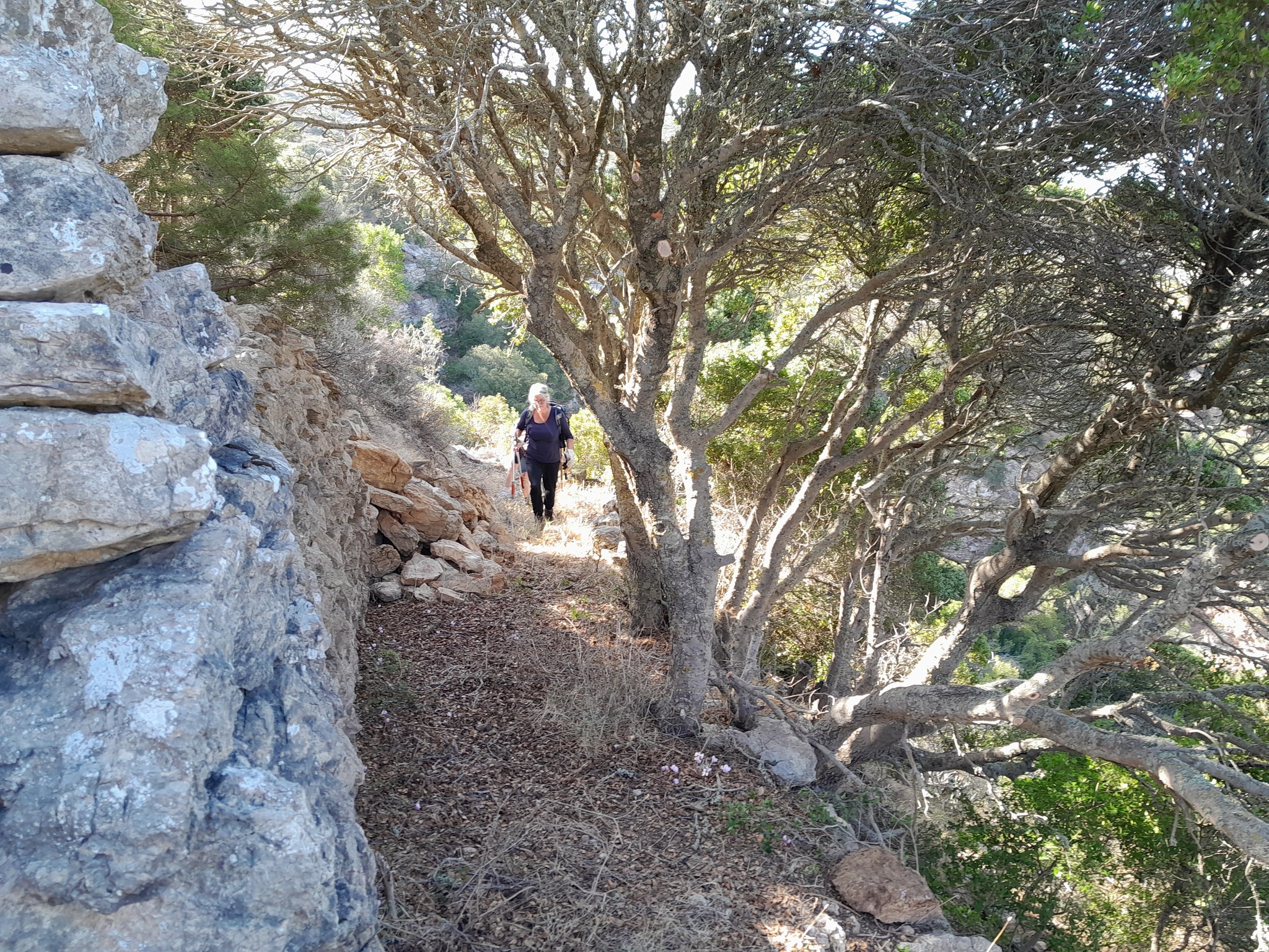 katharismos monopation mylopotamos11