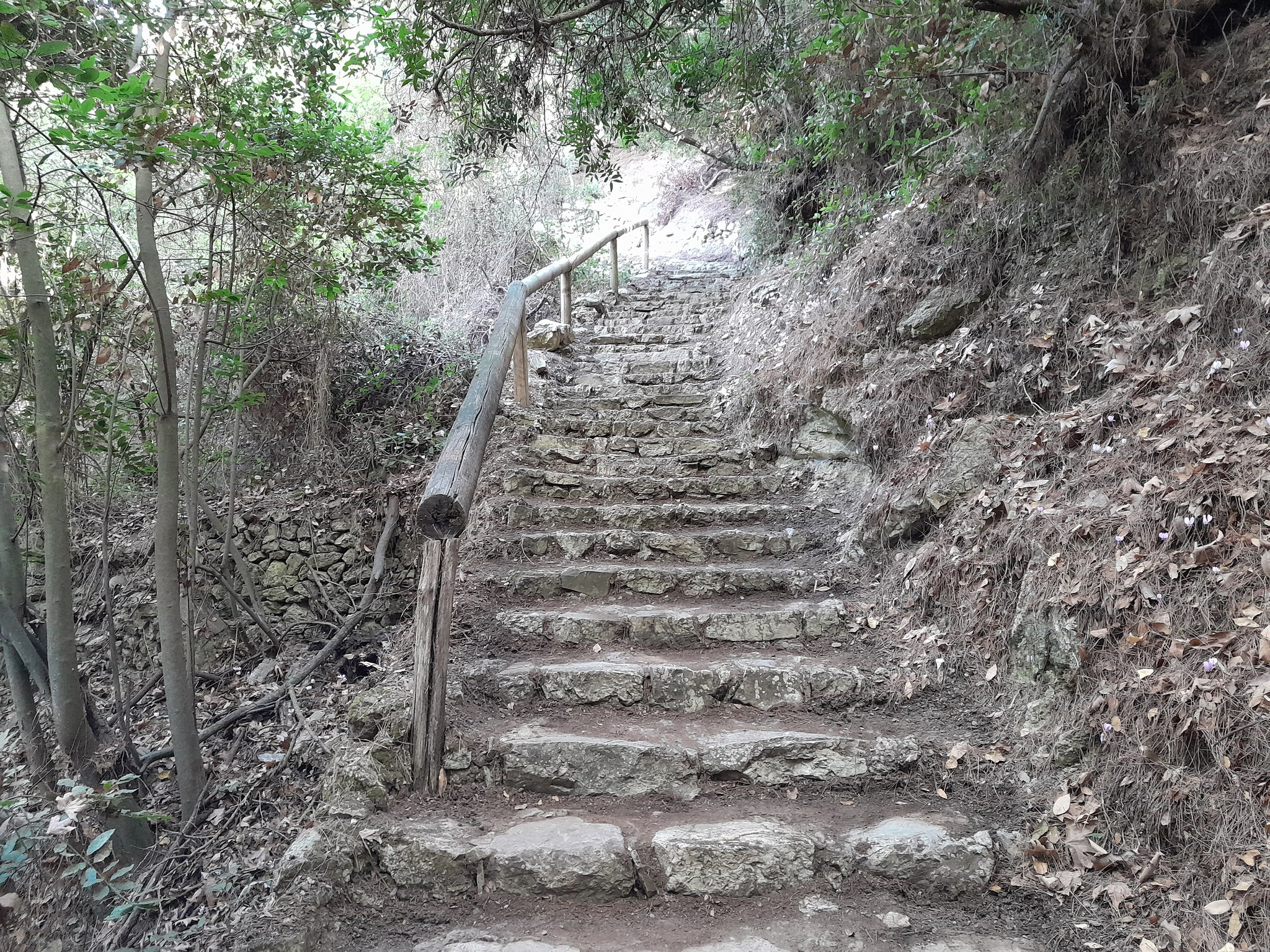 katharismos monopation mylopotamos2