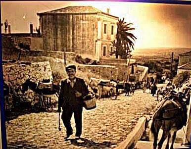 lithostrota votsalota16