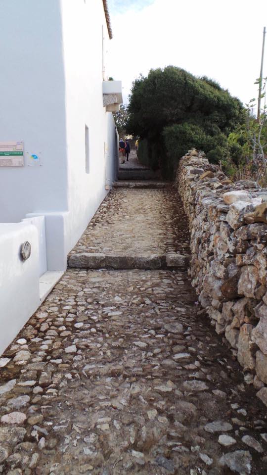 lithostrota votsalota3