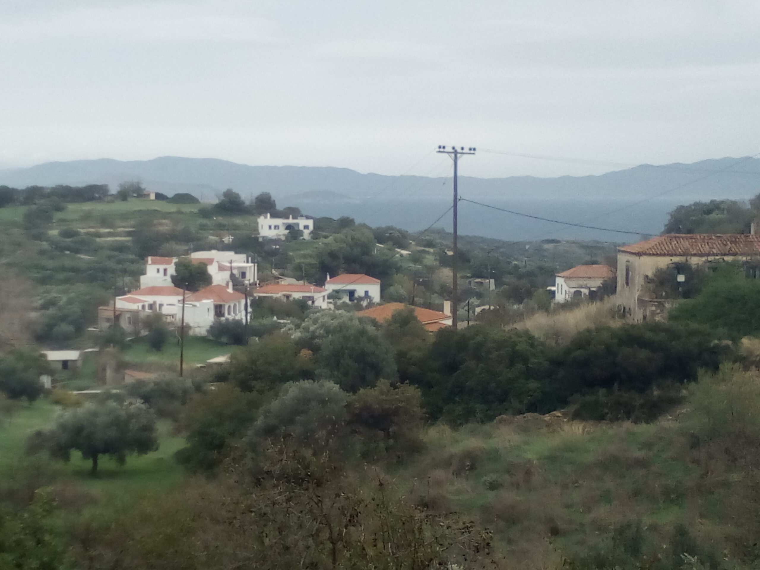 IMG 20221120 135536 scaled