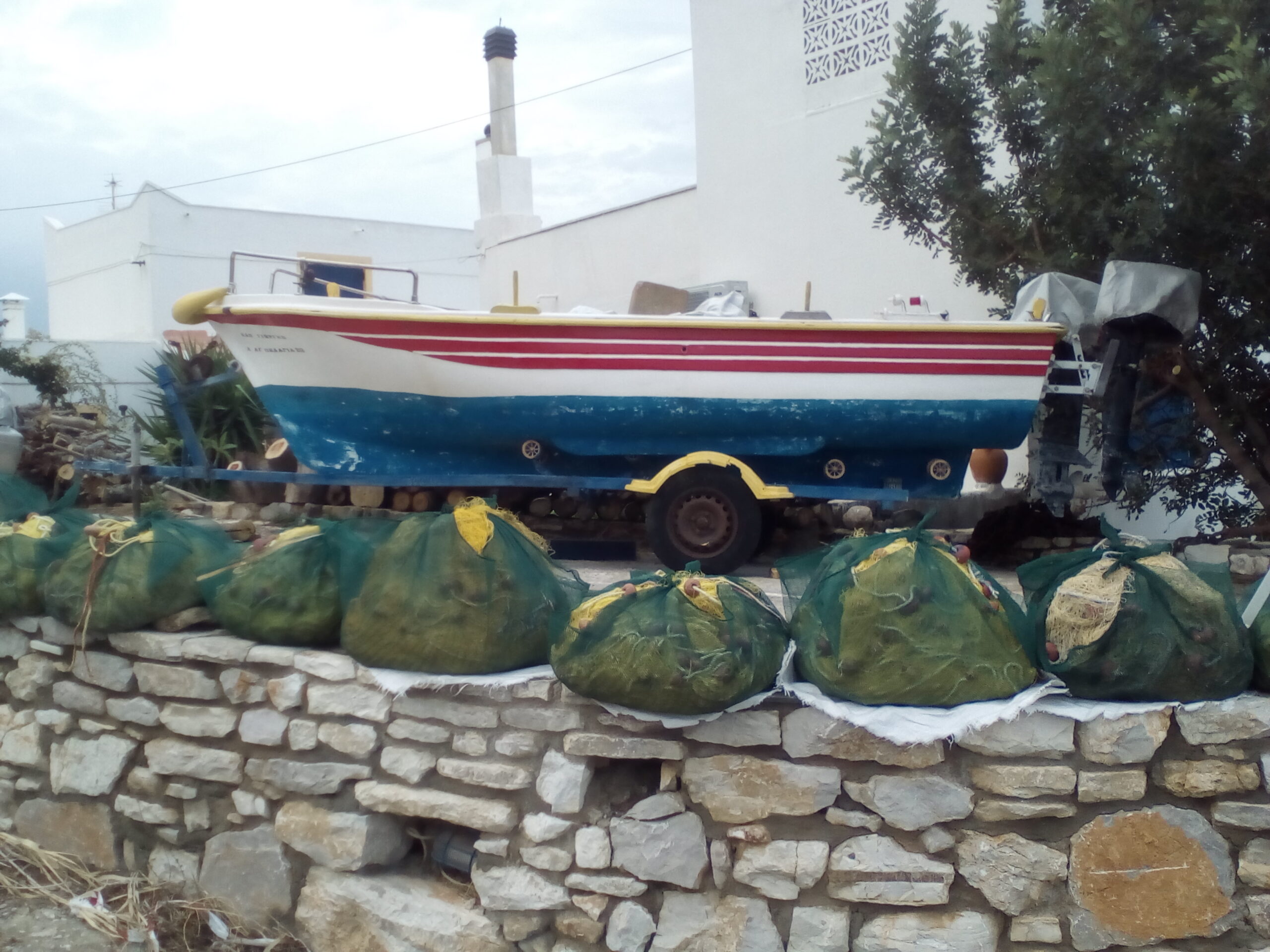 IMG 20221120 161907 scaled