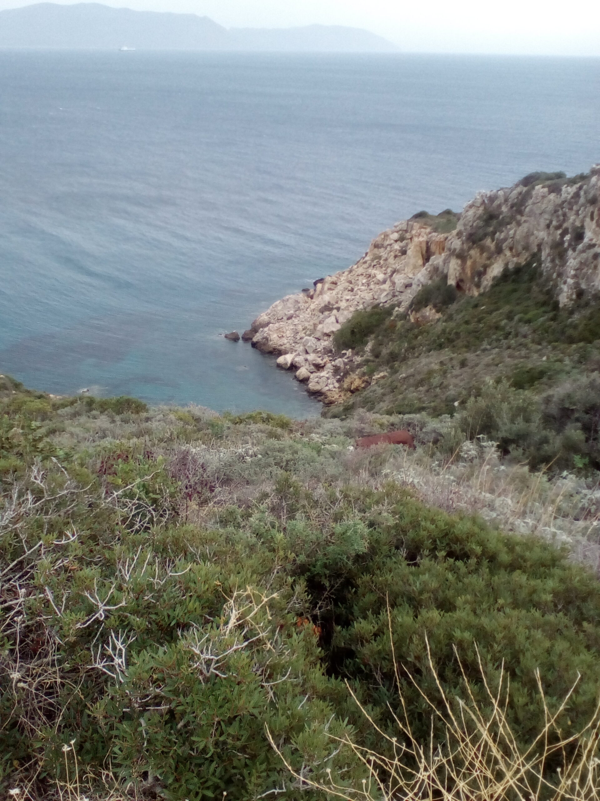 IMG 20221120 162030 scaled