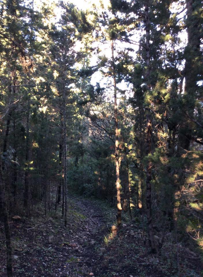 Λουραντιάνικα ή Κάτω Χωρίον. Απόκρυφες ομορφιές των Κυθήρων 10 lourantianika kato