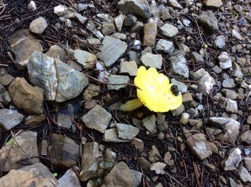 Λουραντιάνικα ή Κάτω Χωρίον. Απόκρυφες ομορφιές των Κυθήρων 6 lourantianika kato