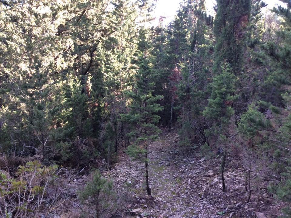 Λουραντιάνικα ή Κάτω Χωρίον. Απόκρυφες ομορφιές των Κυθήρων 8 lourantianika kato