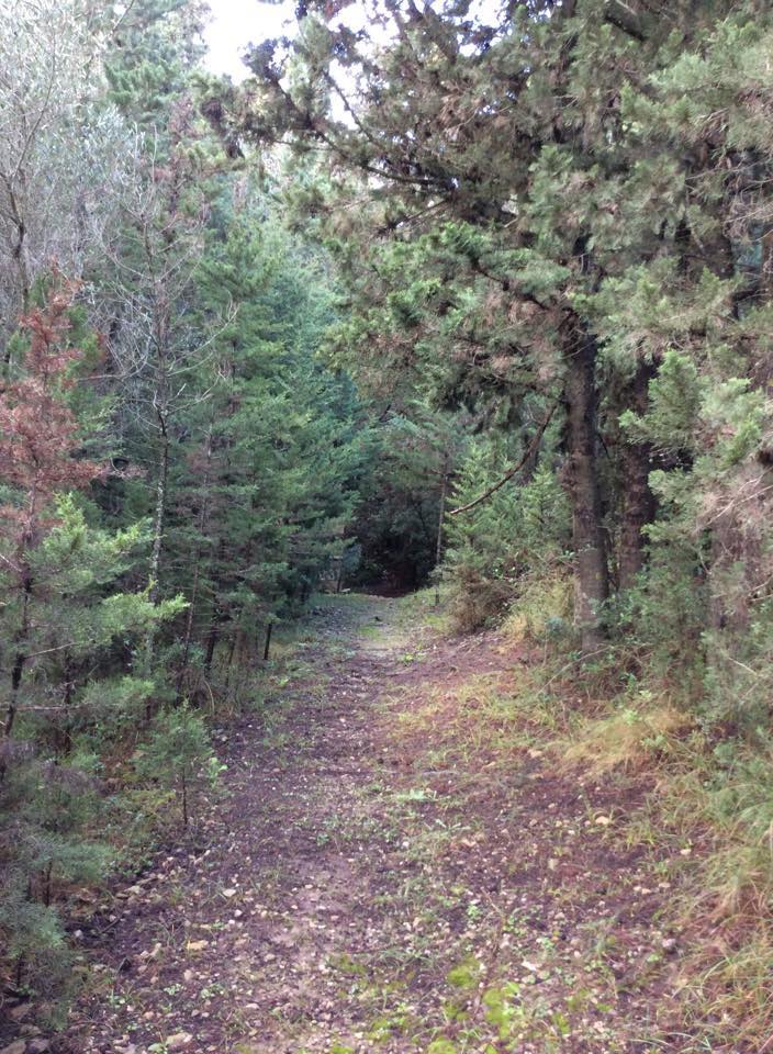 Λουραντιάνικα ή Κάτω Χωρίον. Απόκρυφες ομορφιές των Κυθήρων 9 lourantianika kato