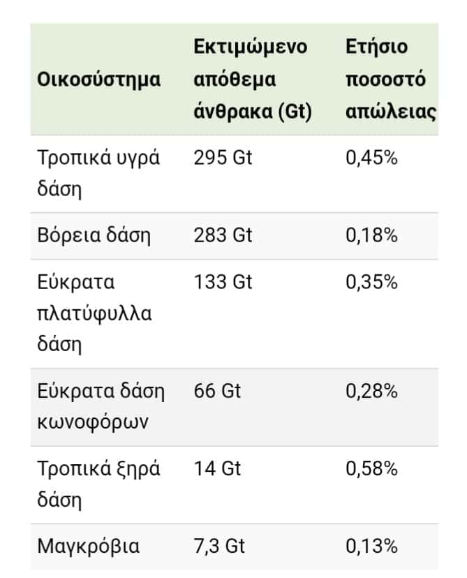 317950661 10228806069073701 3122809361259985922 n