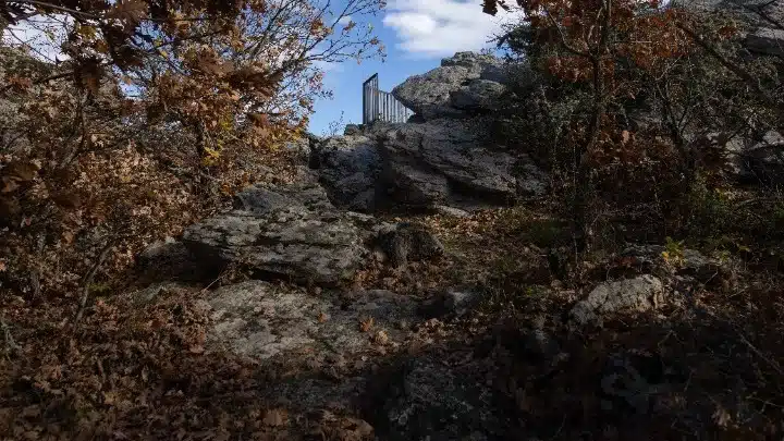 Πανεπιστημιακό Δάσος Ταξιάρχη
