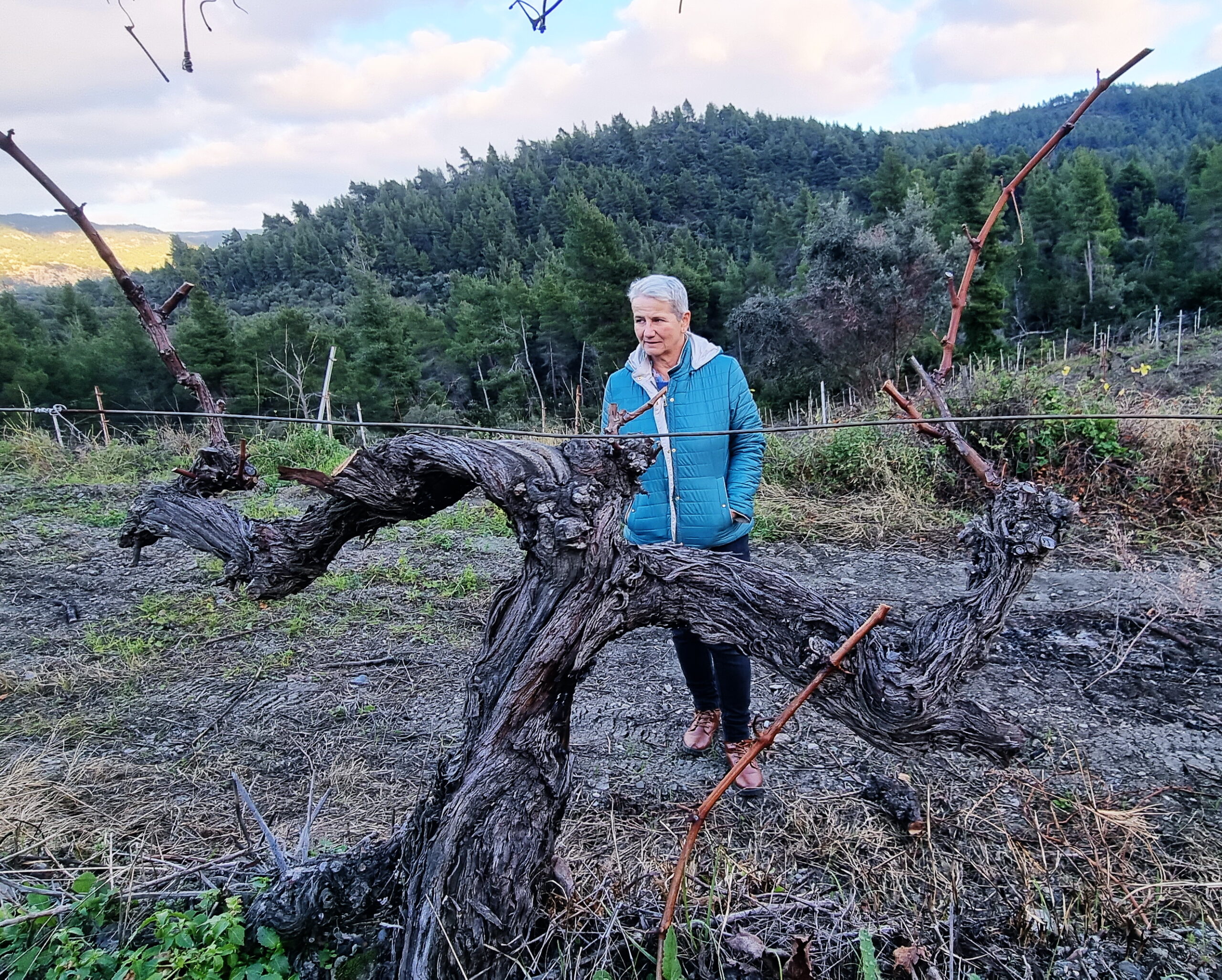 10530026754845.Δρ ΧΑΡΟΥΛΑ ΣΠΙΝΘΗΡΟΠΟΥΛΟΥ scaled