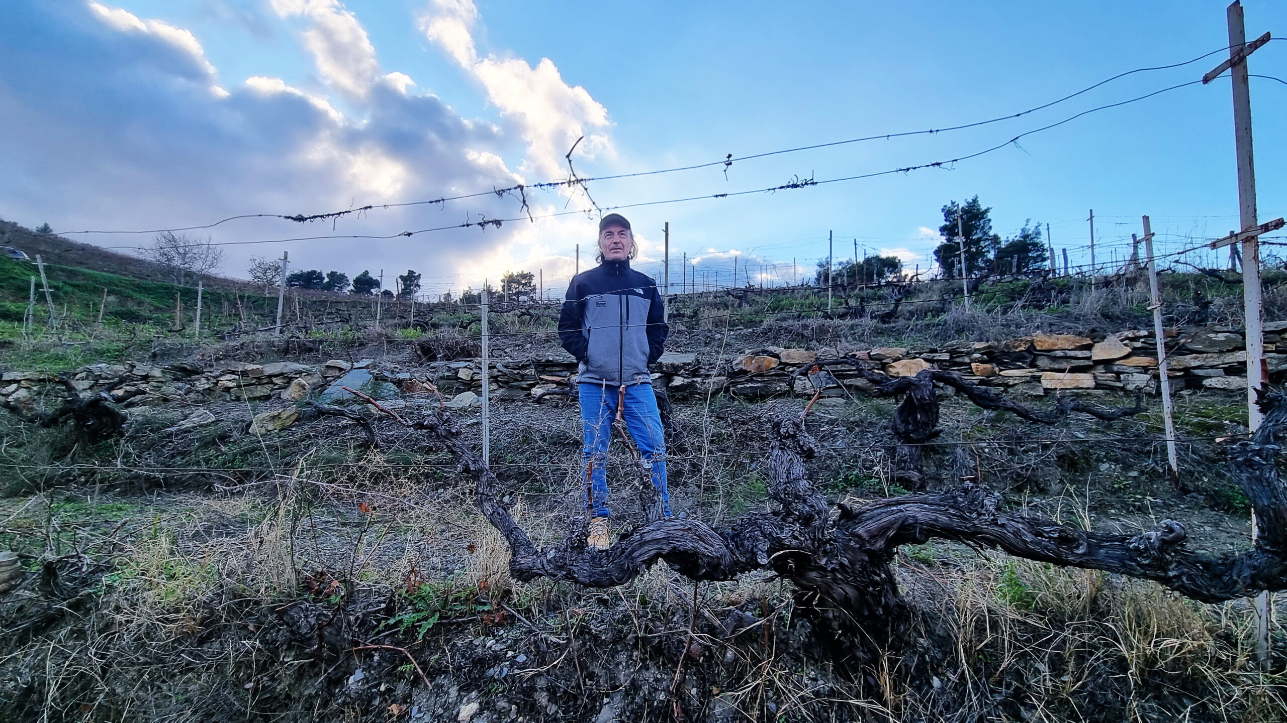 10532026754845.ΧΡΗΣΤΟΣ Δ ΚΑΤΣΑΝΟΣ scaled