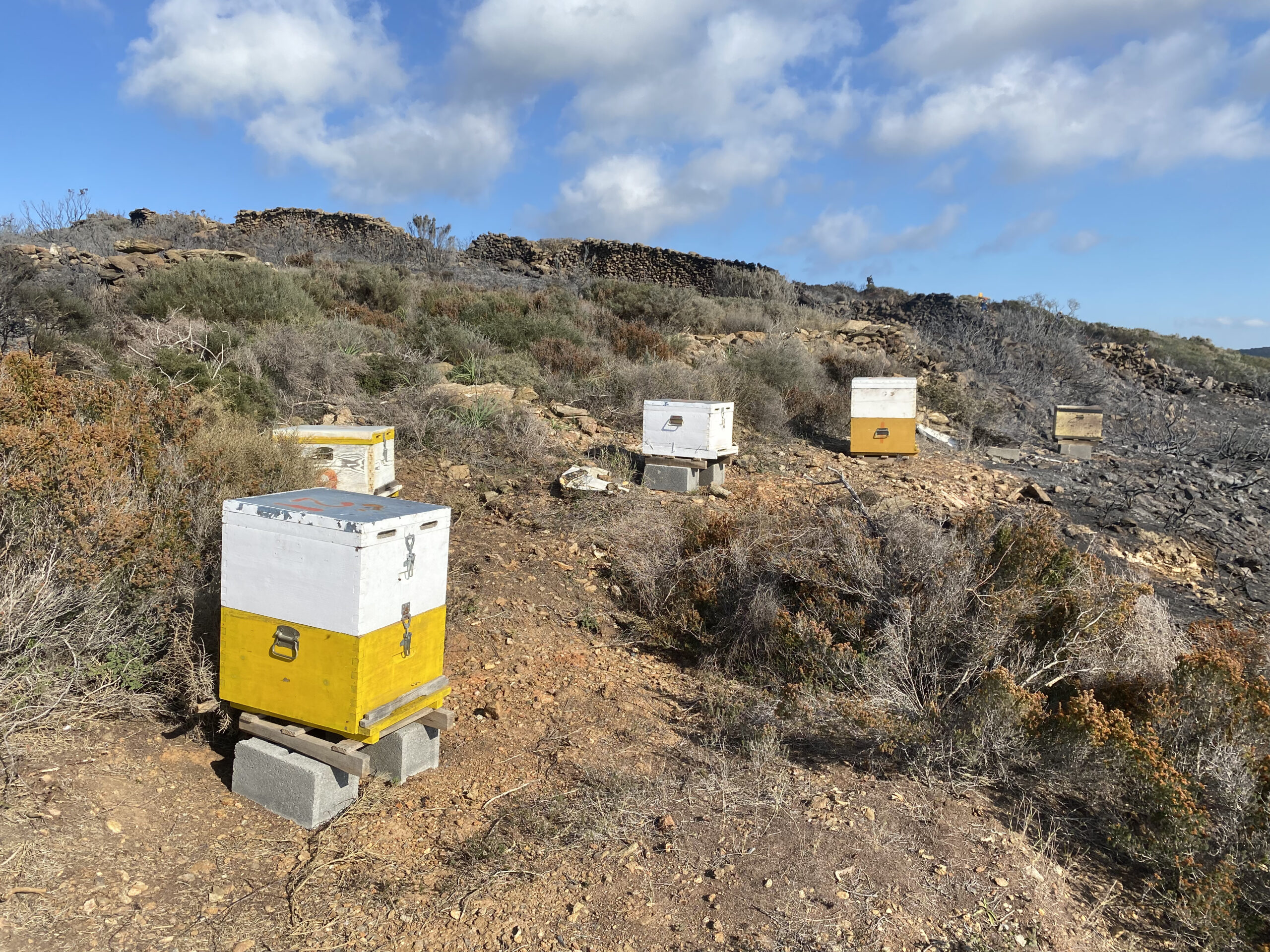 φωτιά Κύθηρα πυροσβεστες