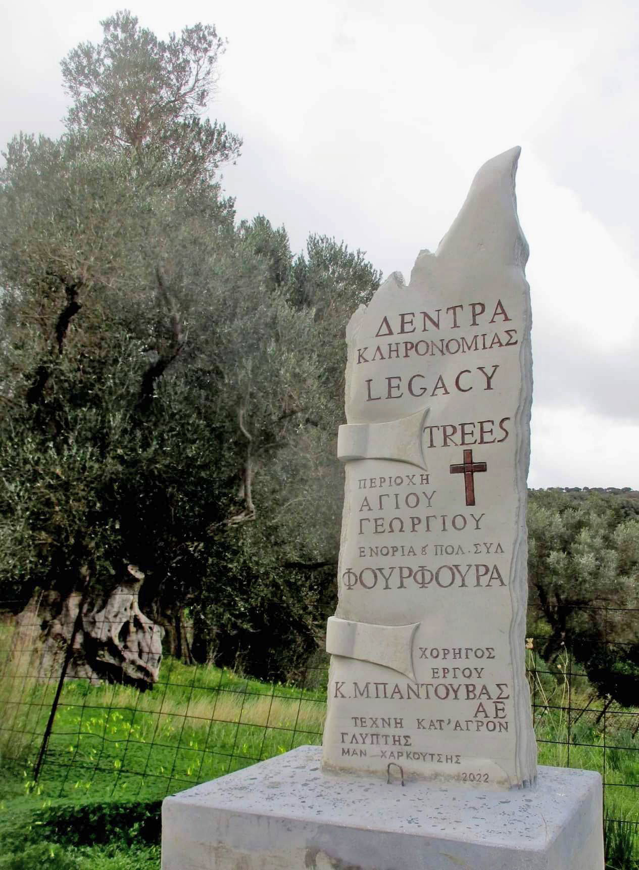αρχαίο ελαιόδεντρο