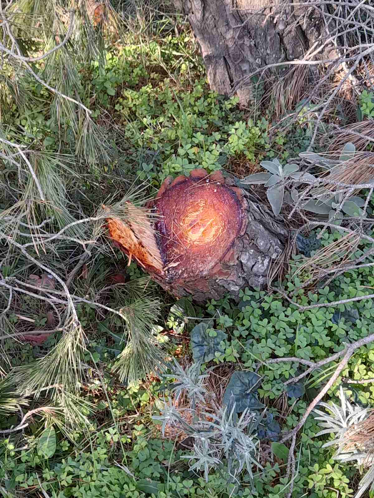 viber image 2023 02 18 19 14 29 214