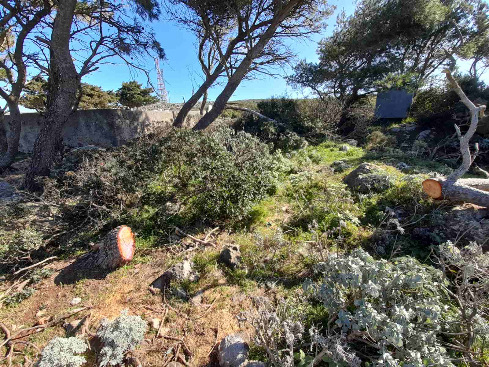 viber image 2023 02 18 19 14 31 163