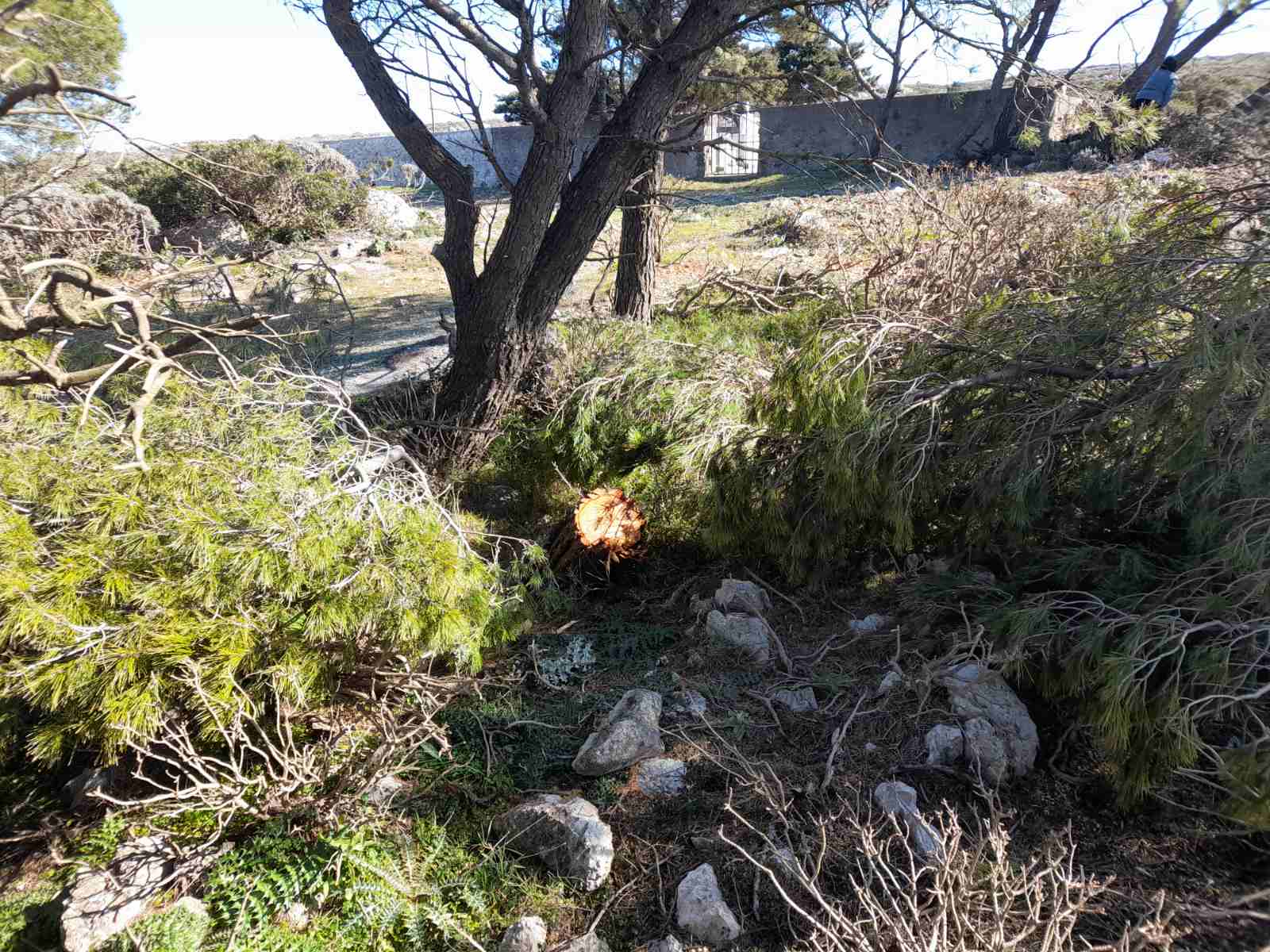 viber image 2023 02 18 19 14 32 571