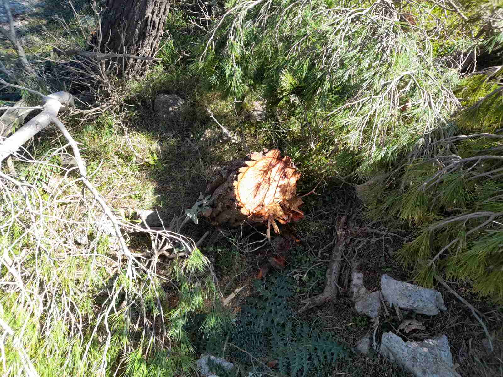 viber image 2023 02 18 19 14 33 509