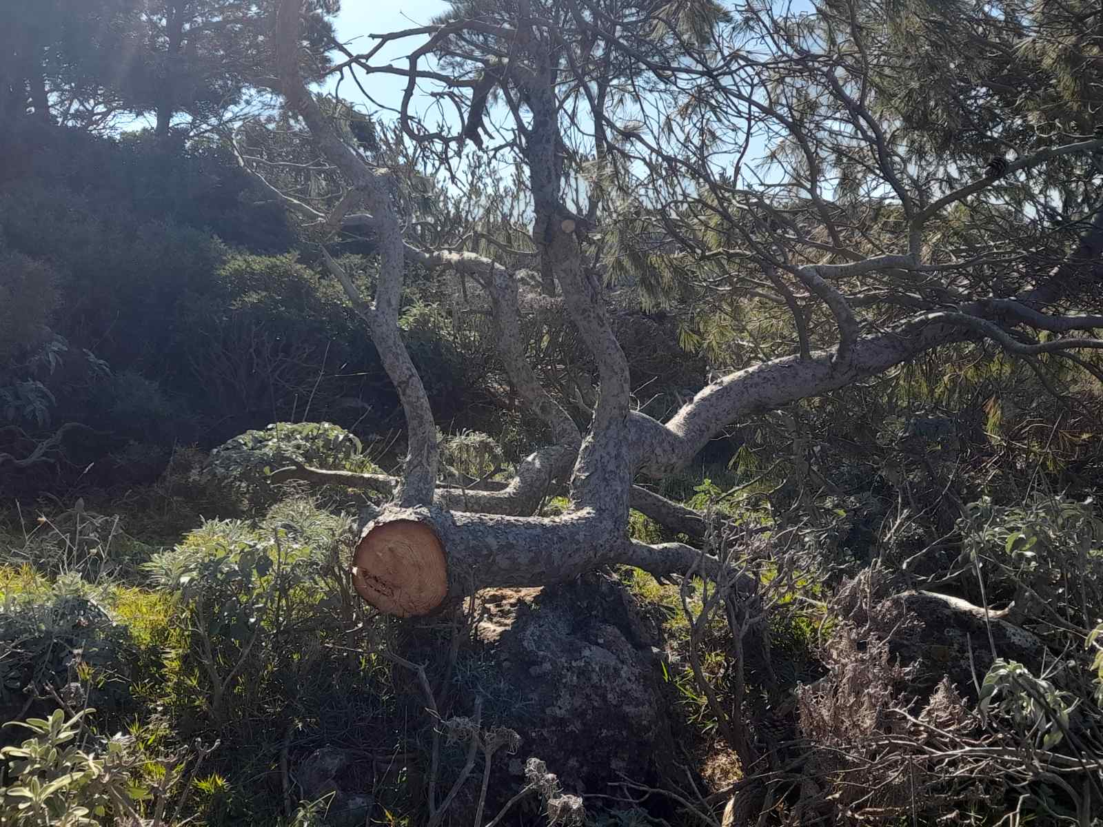 viber image 2023 02 18 19 14 33 713