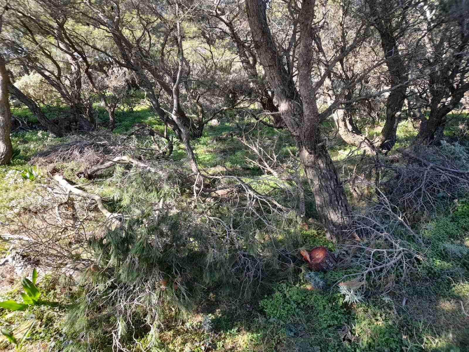 viber image 2023 02 18 19 14 34 140