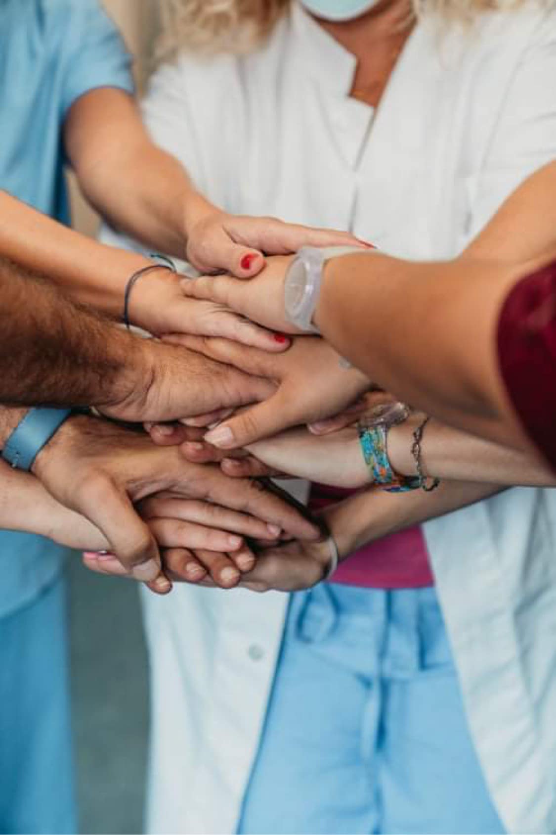 342057662 259925613046810 2286857996471798558 n