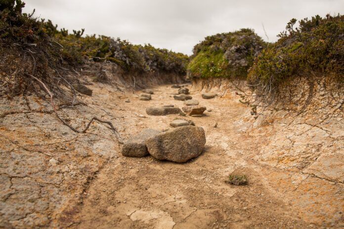 A dry creek bed in Hartz Mountains, Tasmania, Australia.