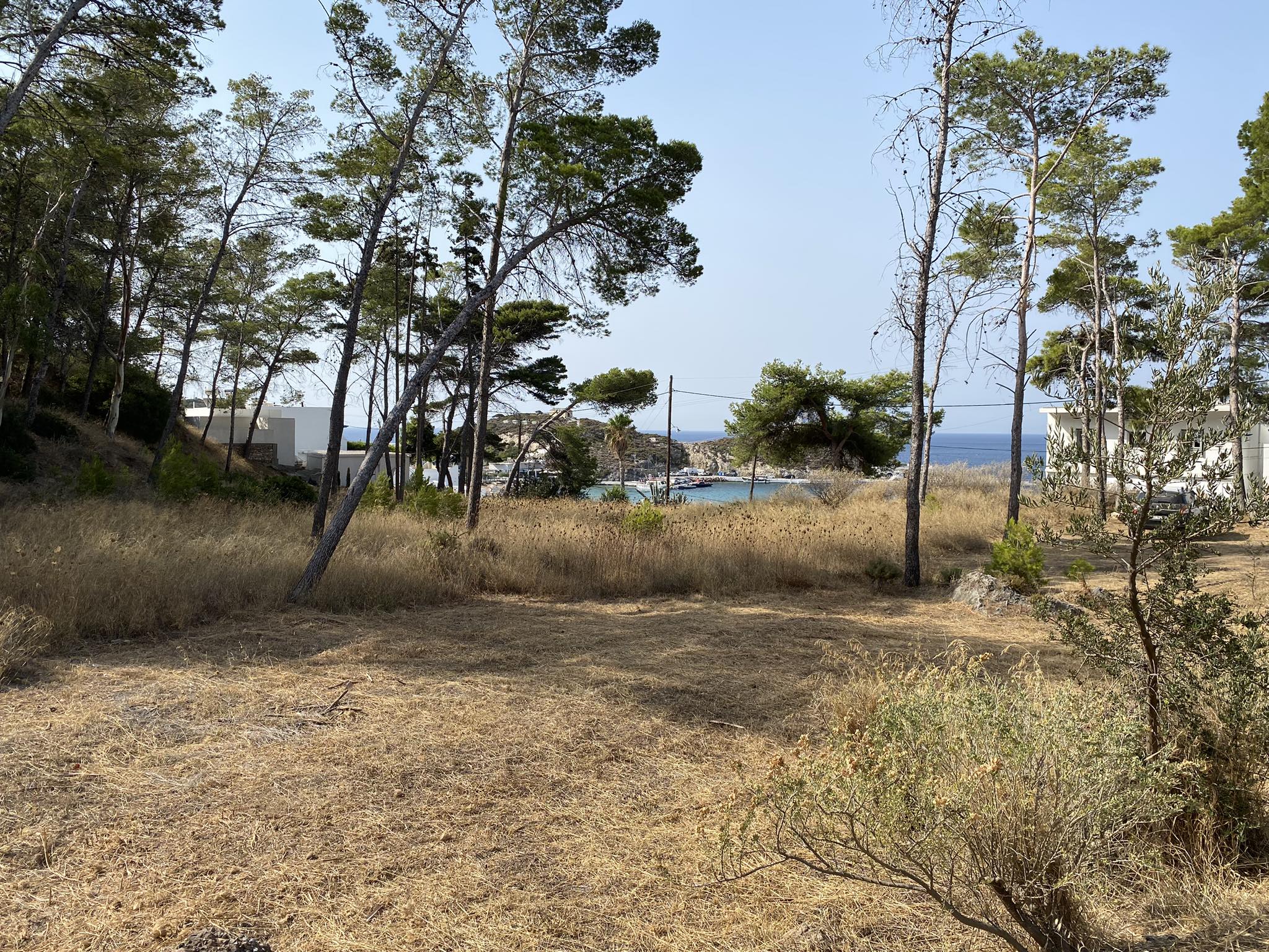 362365620 832604535116986 4532264028673879192 n