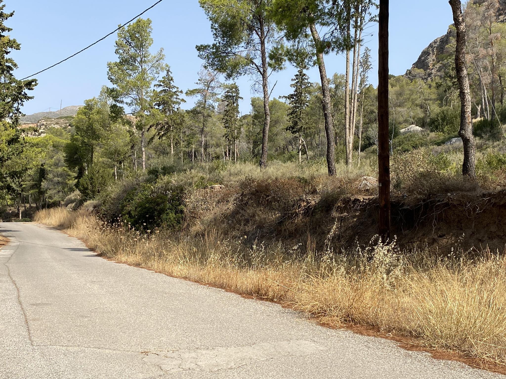 362470500 240425092237034 5617407248140497211 n