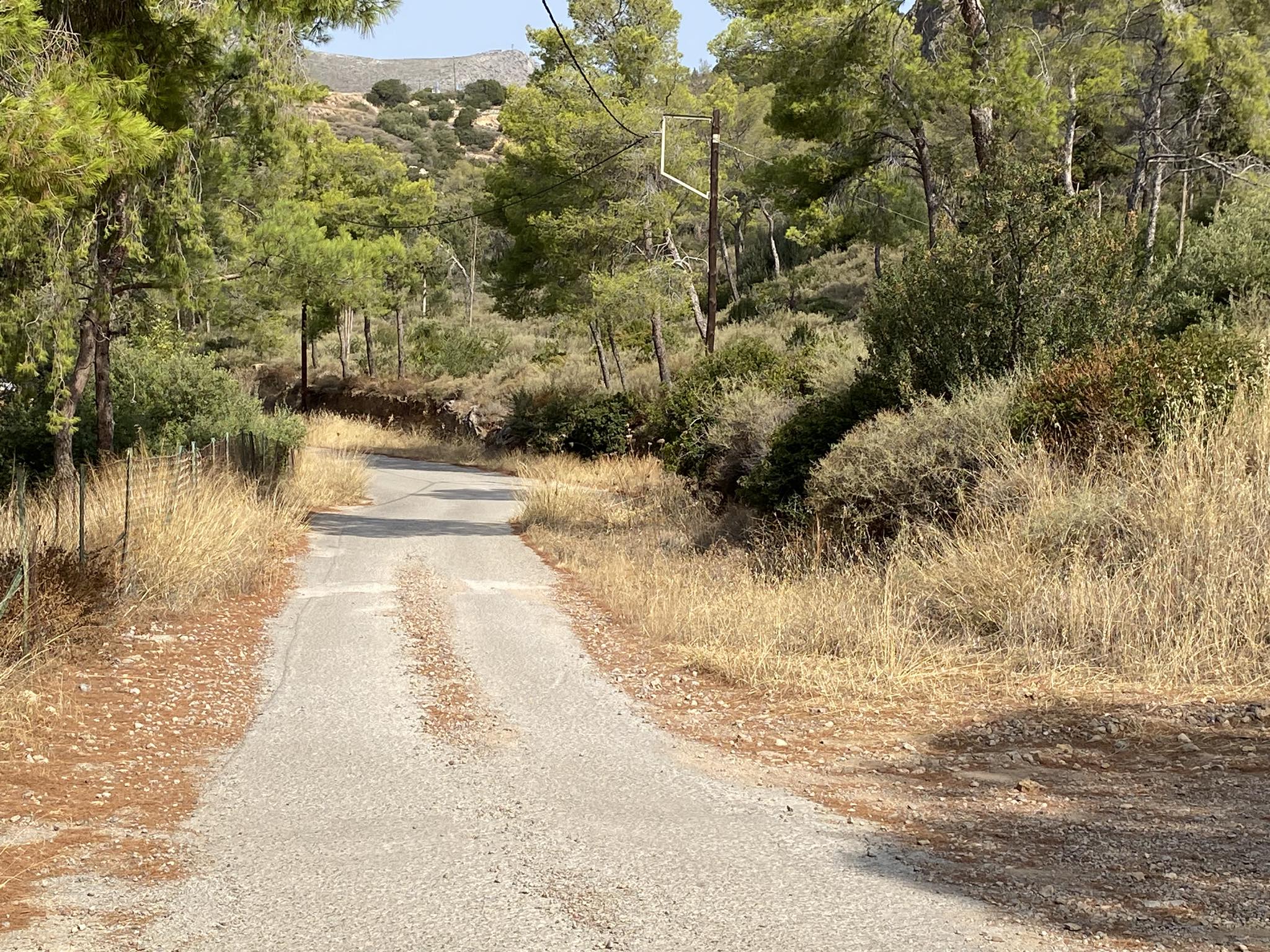 Άλσος Καψαλίου