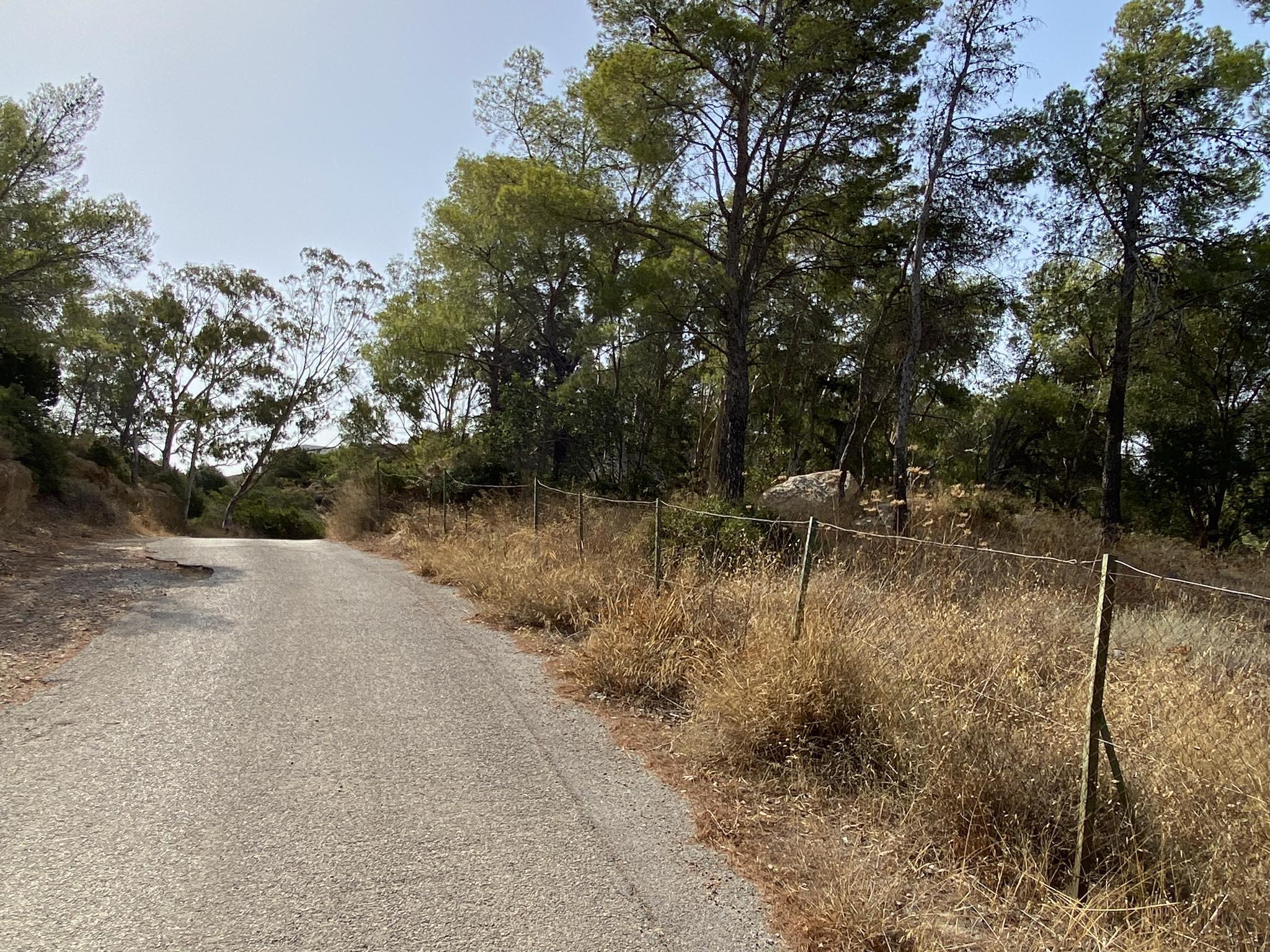 Άλσος Καψαλίου