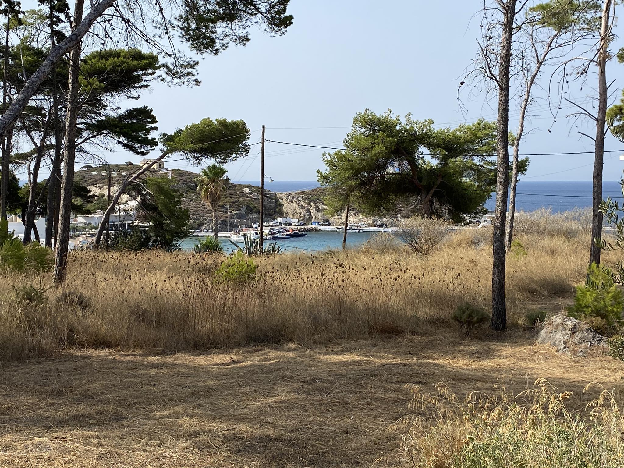 363090475 1458654144929870 5964022199726527849 n