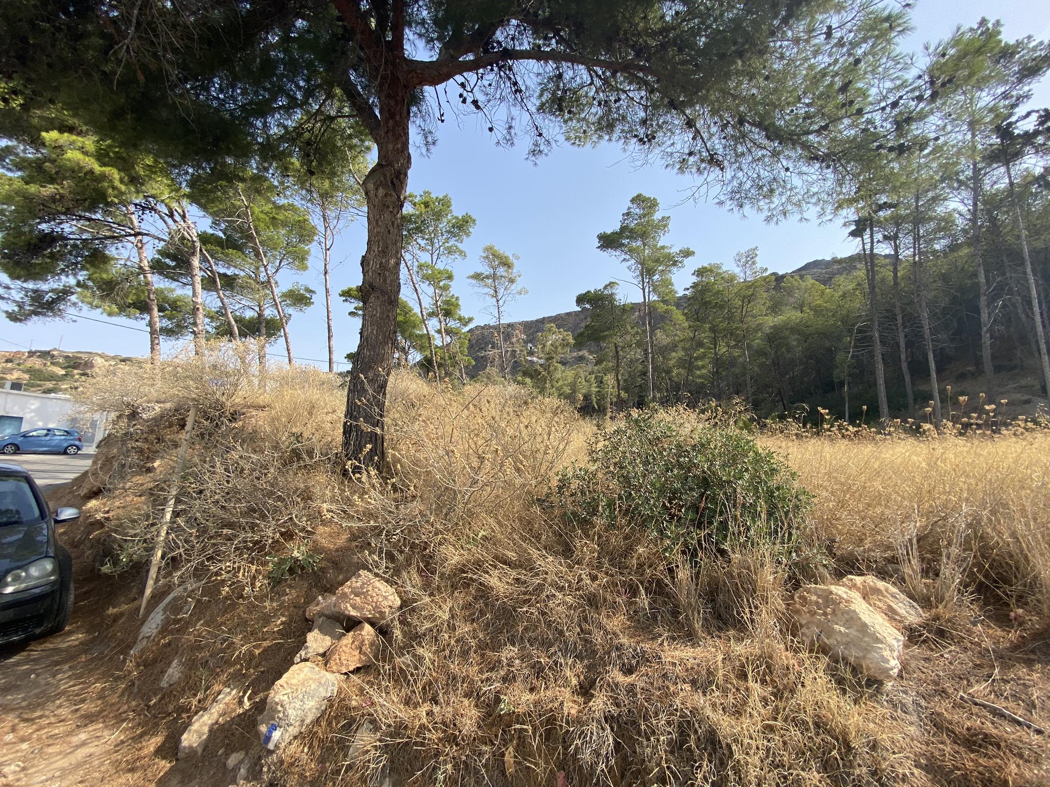 363267558 614499727438301 6571090845298777109 n