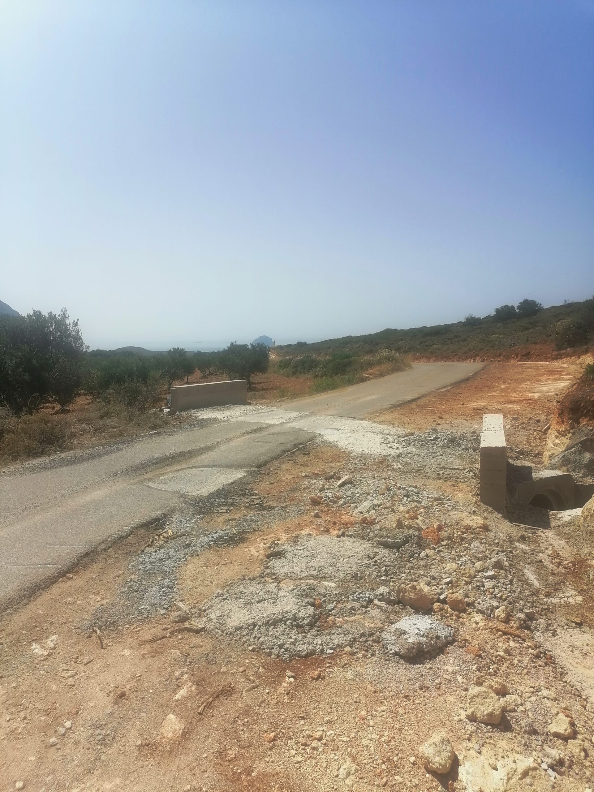 IMG 20230714 112603 scaled